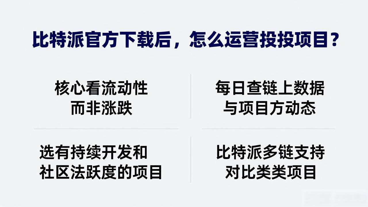 比特派多链支持 流动性分析 链上数据监控_比特派官方下载 安全基础 资产分类分层管理_如何通过比特派官方下载运营投资项目?